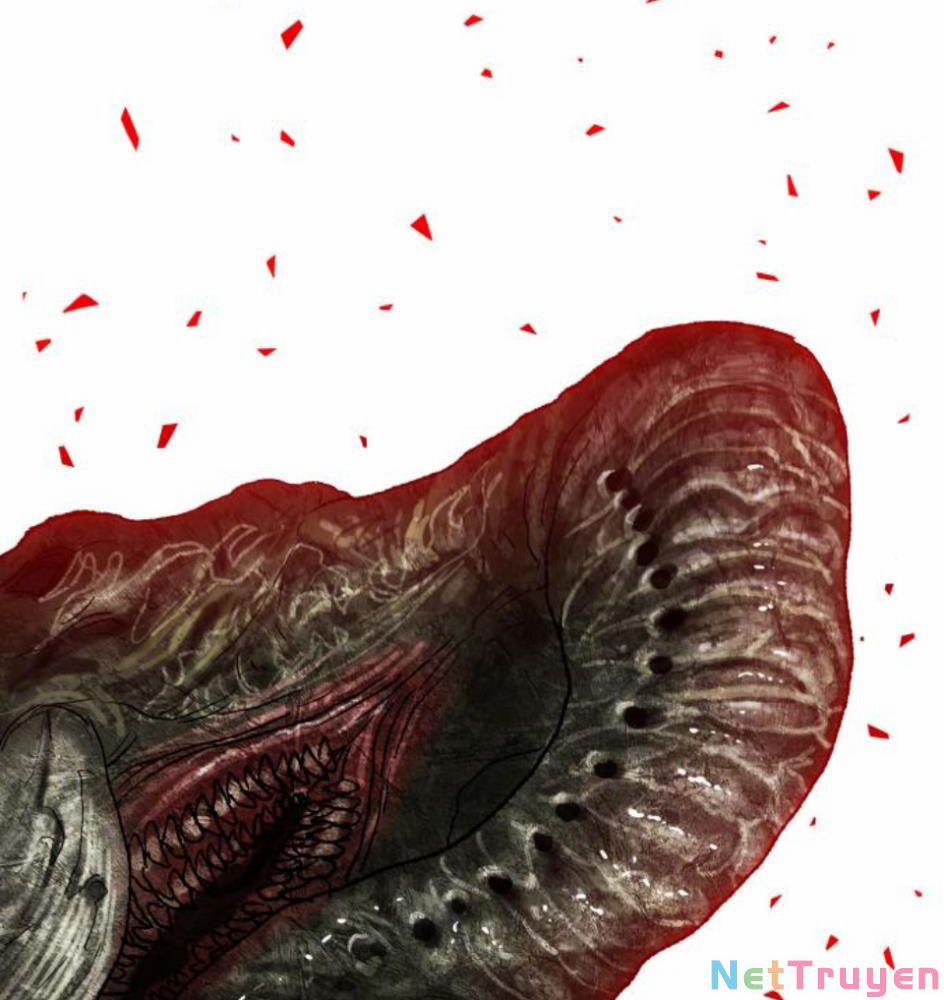 Phá Bỏ Giới Hạn 63 trang 242