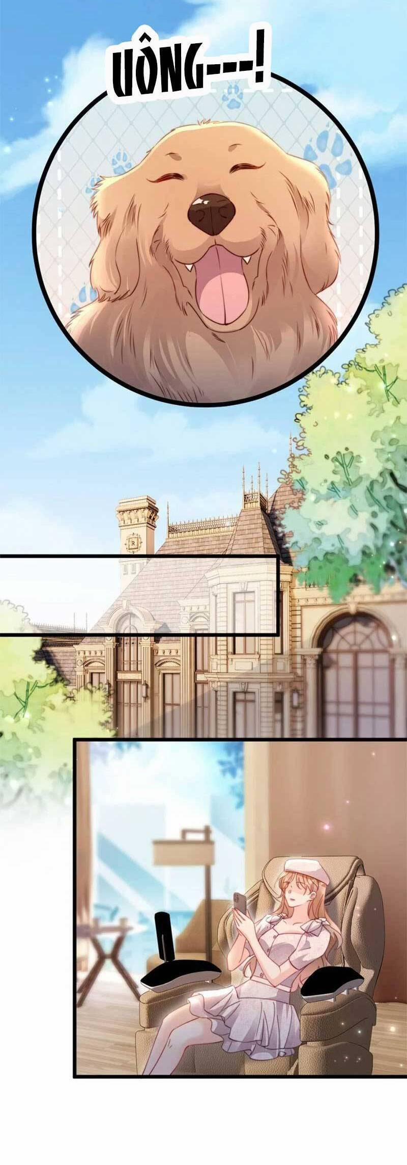 Phá Vỡ Kế Hoạch Của Tra Nam Tôi Về Bên Đại Boss 49 trang 11