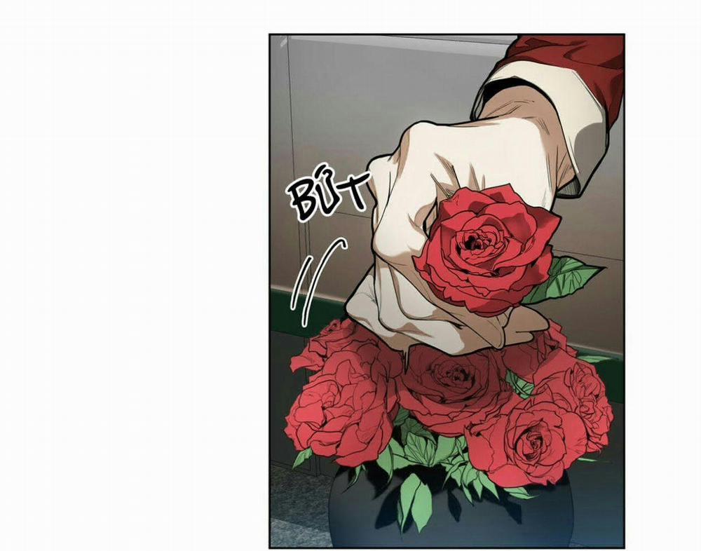 Phạm Luật 14 trang 37