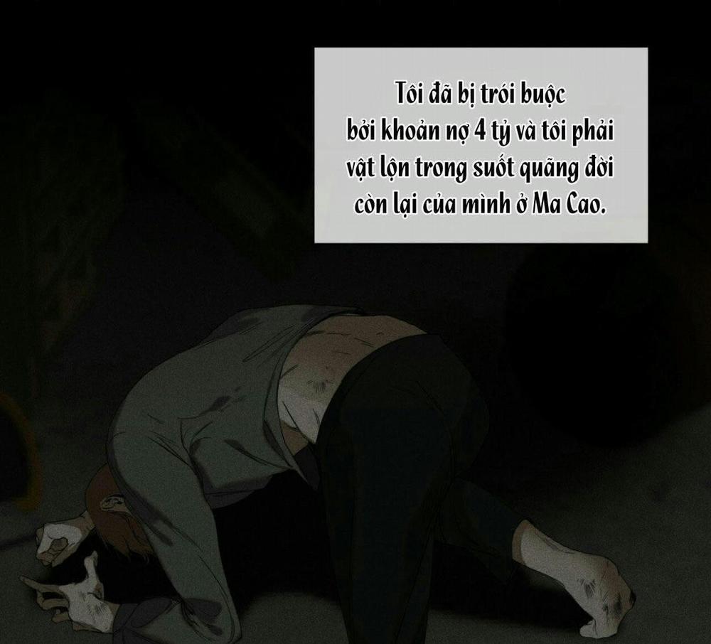 Phạm Luật 15 trang 74