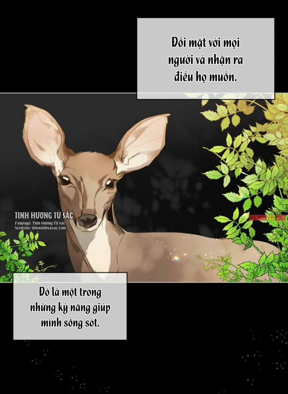 Phạm Luật 19 trang 71