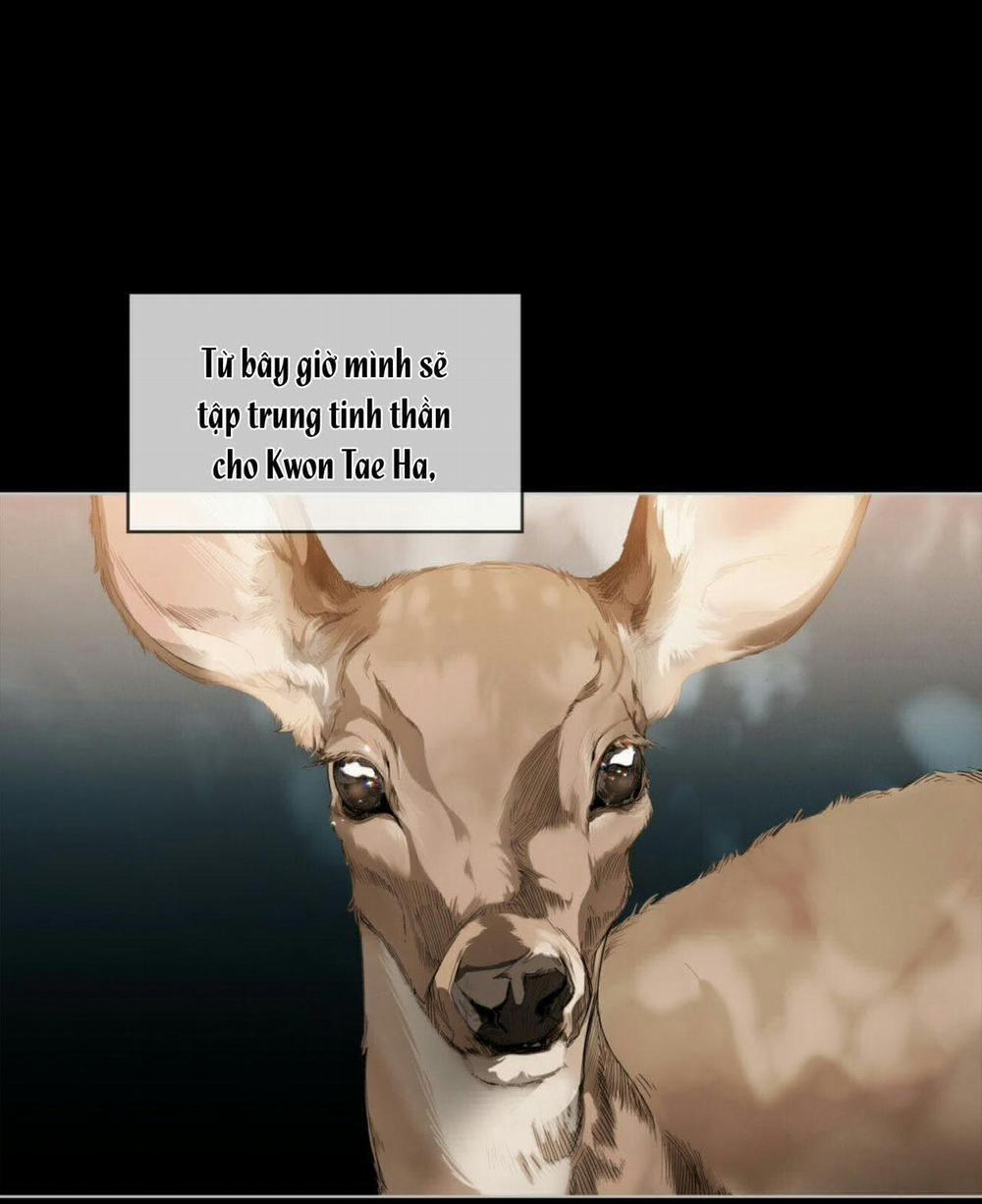 Phạm Luật 19 trang 76