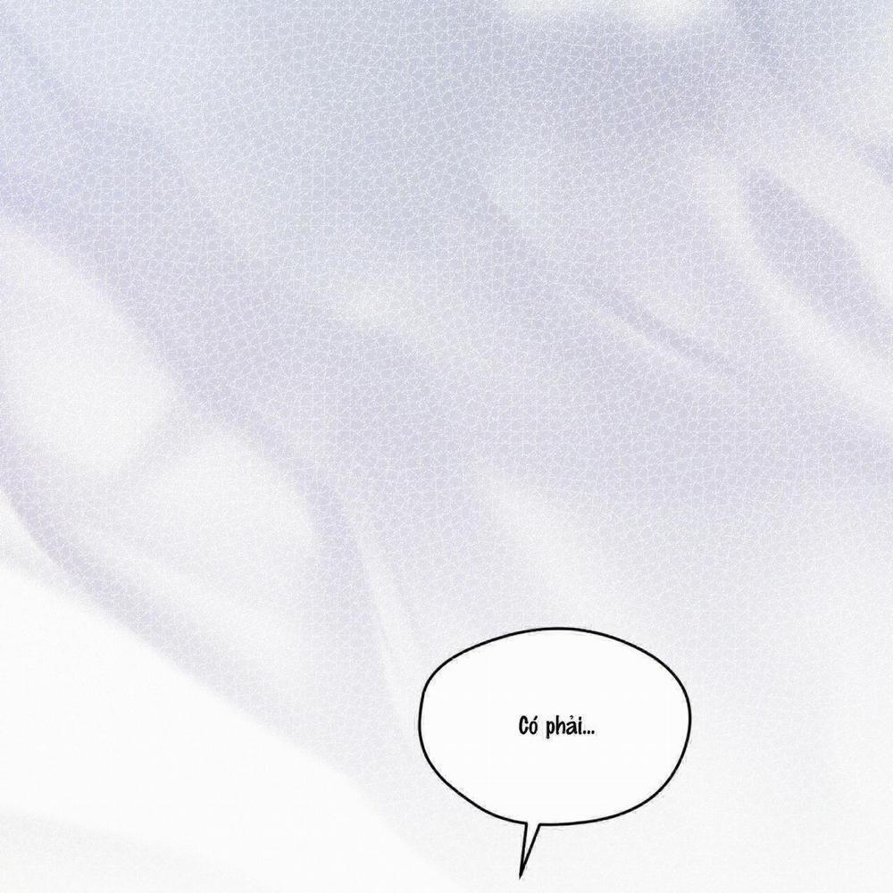 Phạm Luật 26 trang 11