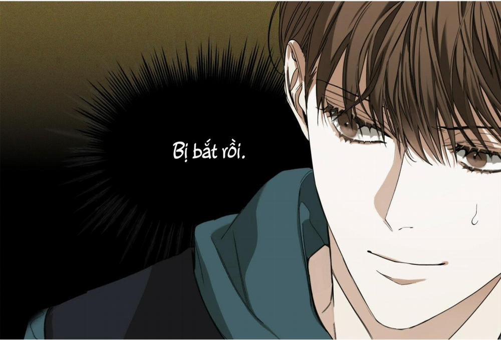 Phạm Luật 33 trang 113