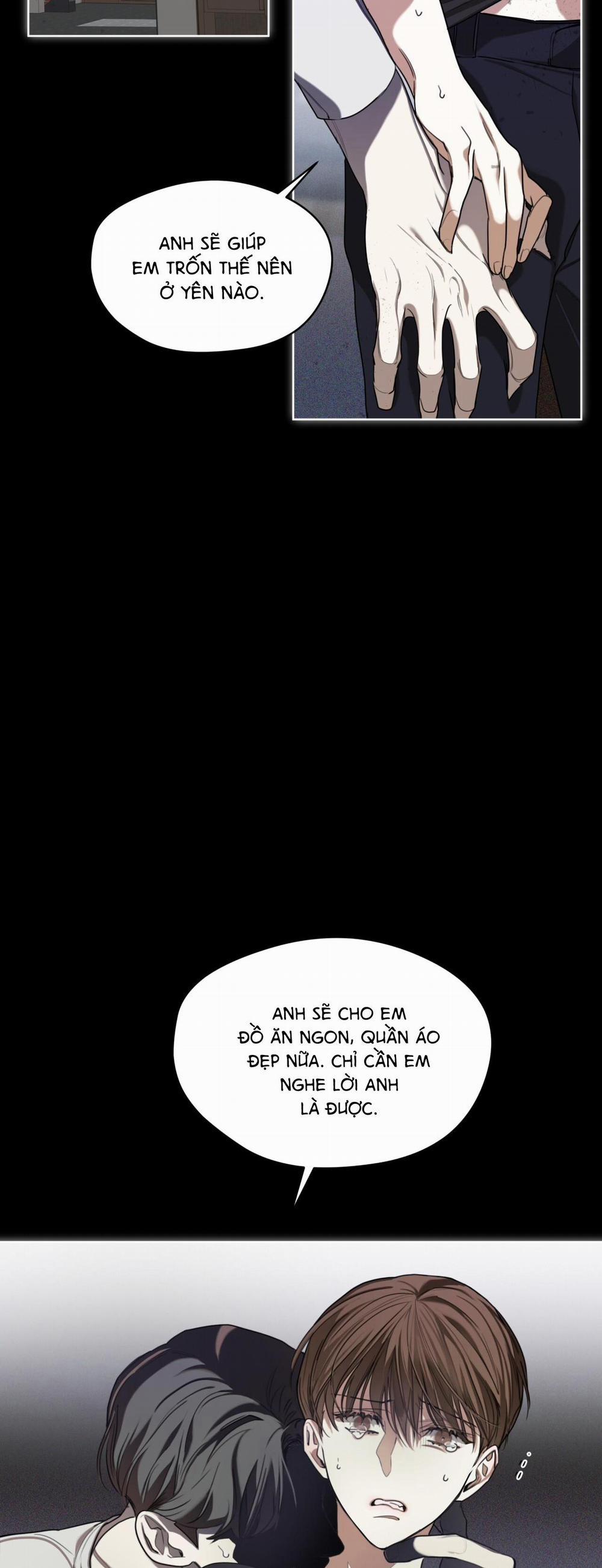 Phạm Luật 41 trang 21