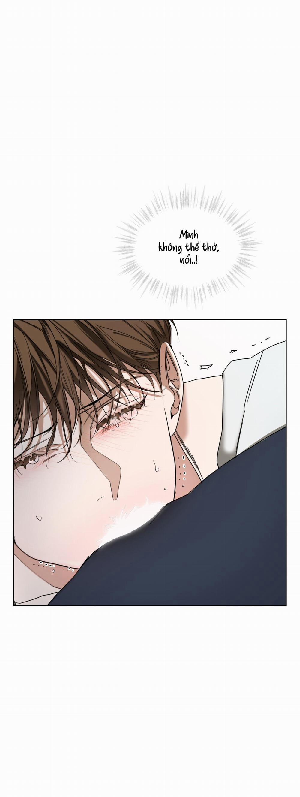 Phạm Luật 41 trang 43