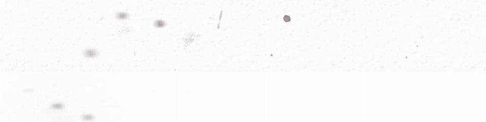 Phạm Luật 49 trang 70