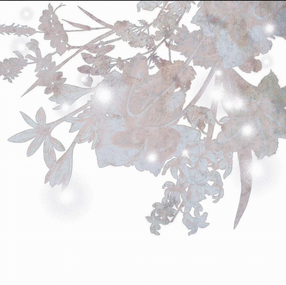 Phạm Luật 50 trang 38