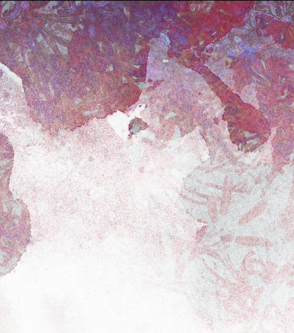 Phạm Luật 53 trang 44