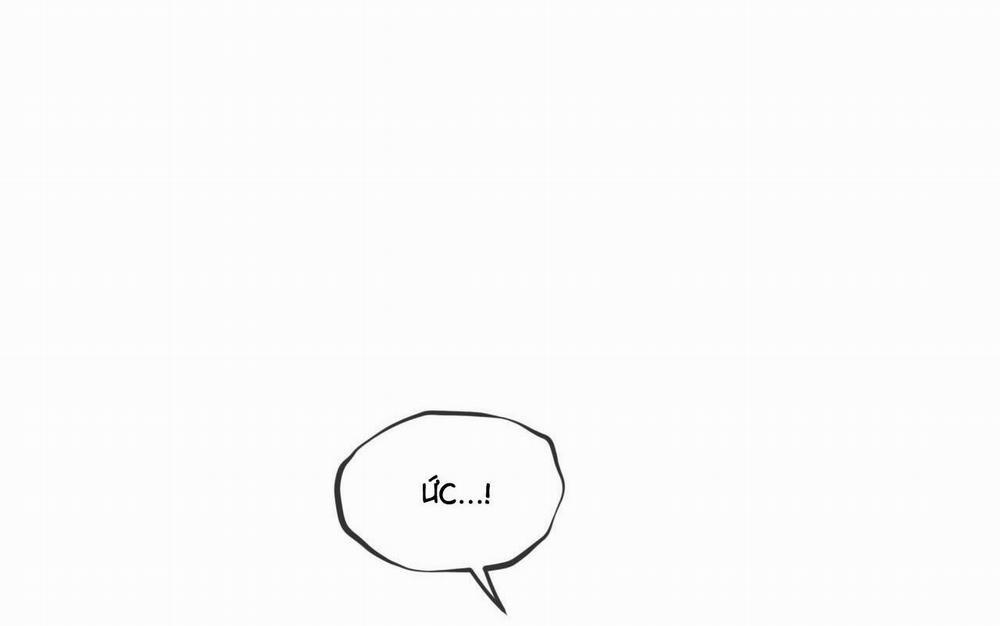 Phạm Luật 55 trang 42