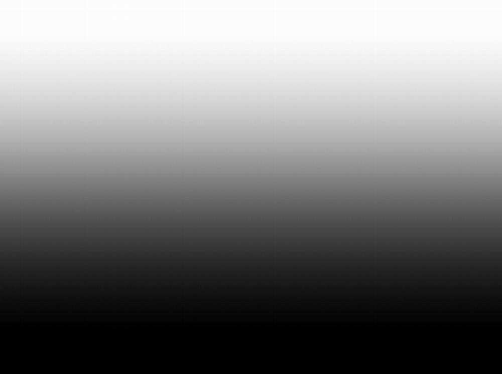 Phạm Luật 55 trang 88