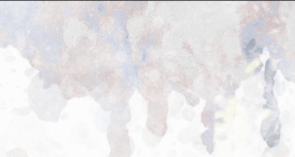 Phạm Luật 56 trang 10