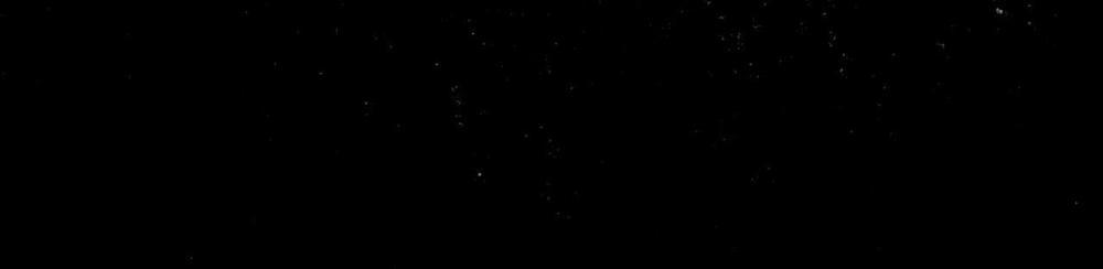 Phạm Luật 61 trang 58