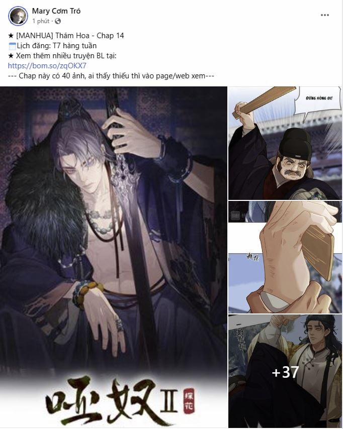 Phạm Luật 62.1 trang 0