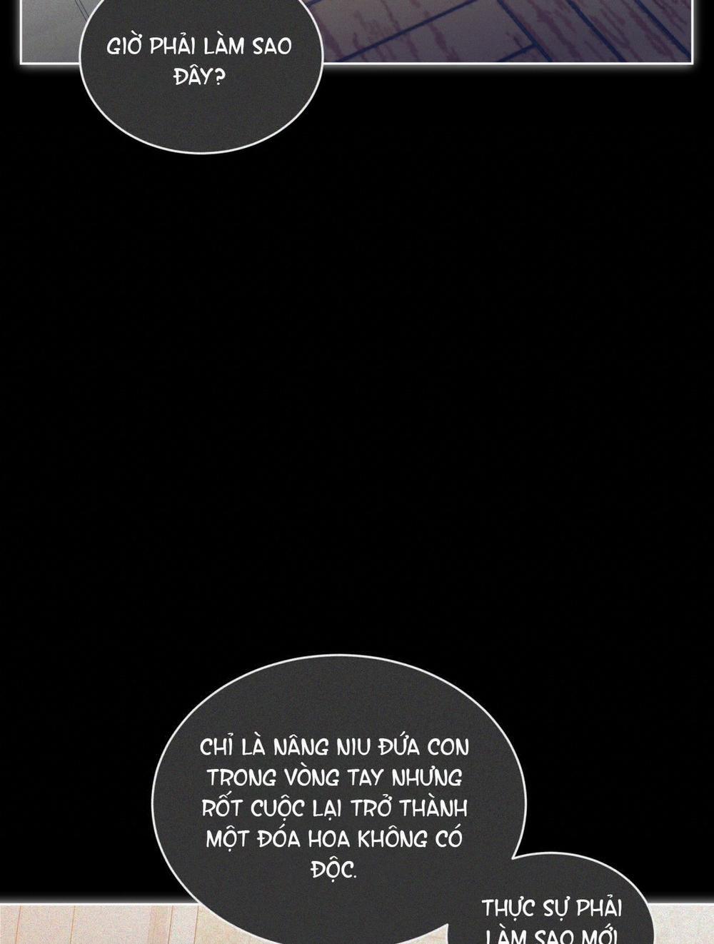 Phạm Luật 67.1 trang 12