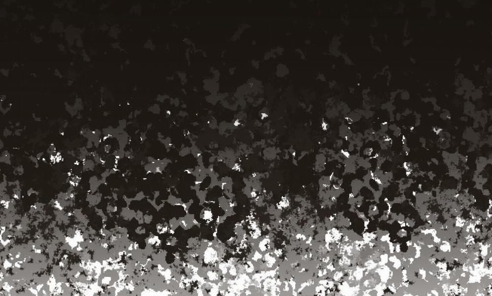 Phạm Luật 71.1 trang 50