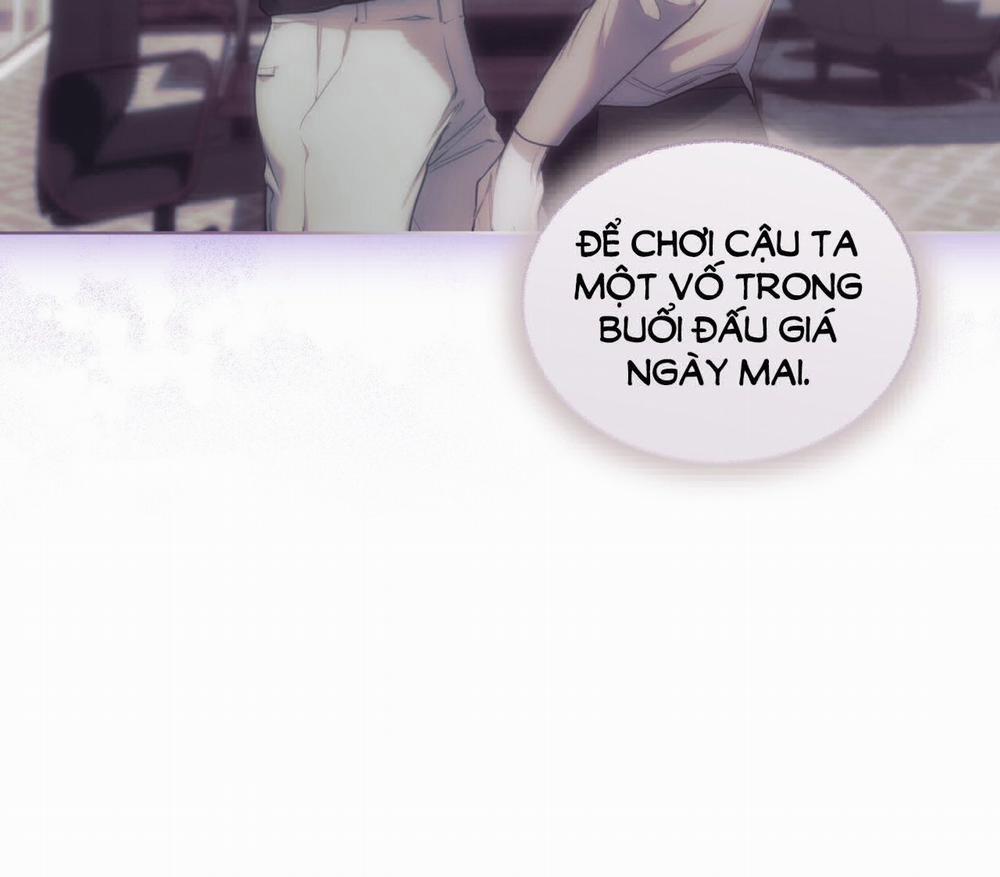 Phạm Luật 71.2 trang 51