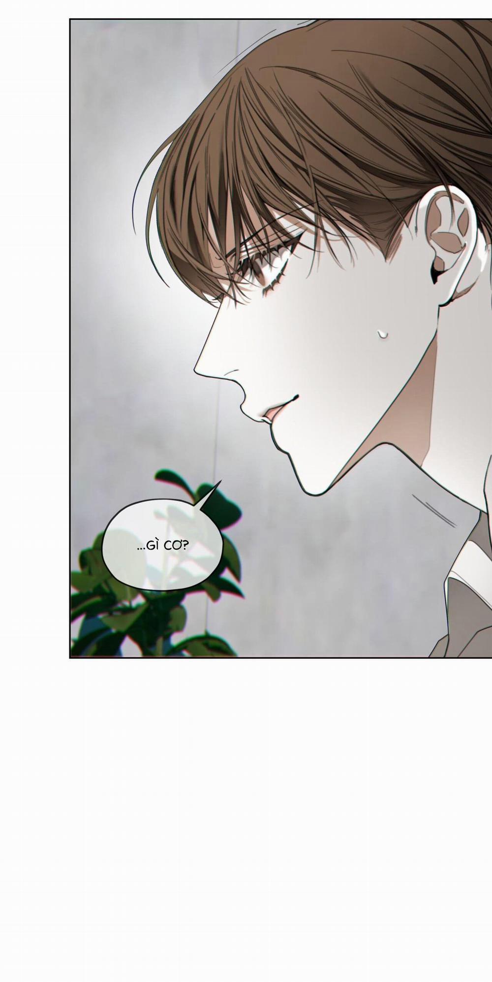 Phạm Luật 73 trang 39