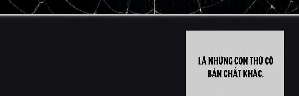 Phạm Luật 80.2 trang 46