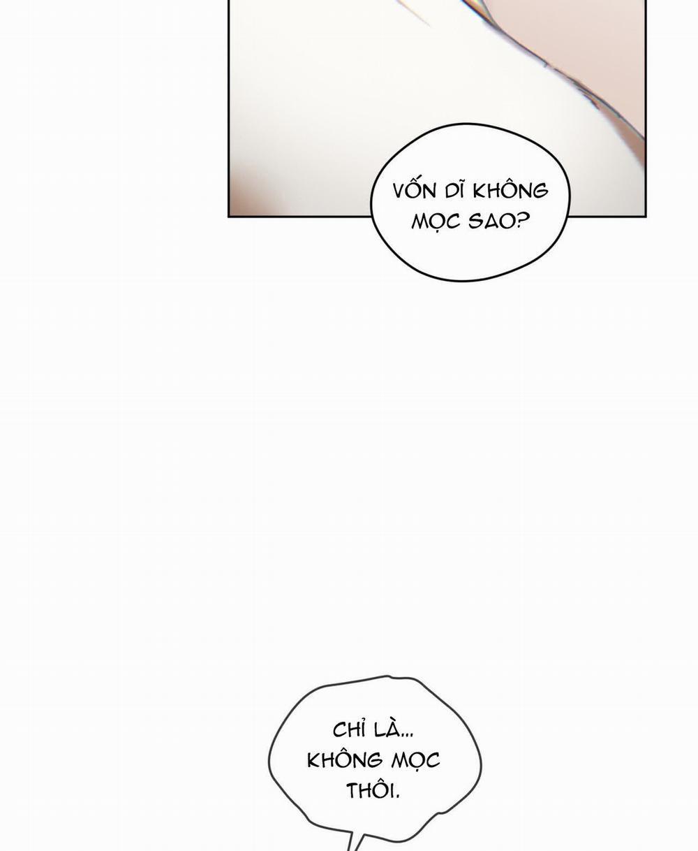 Phạm Luật 82.1 trang 20