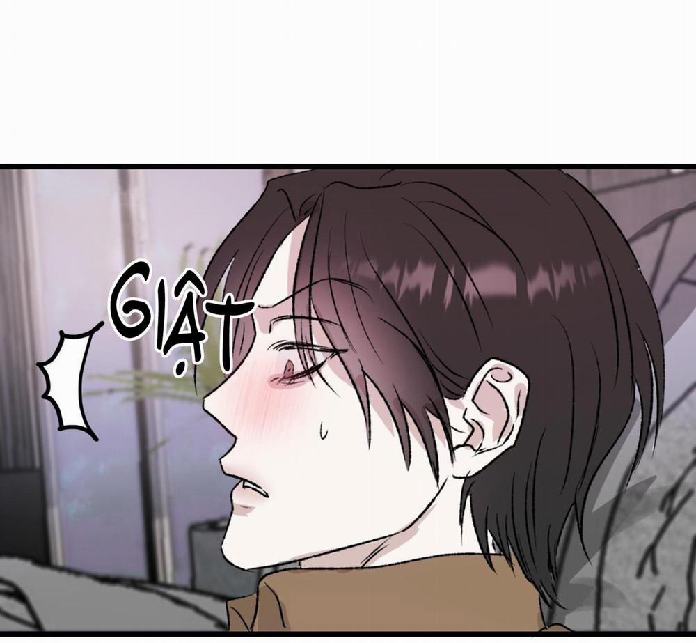 Phản Chiếu 4 trang 101