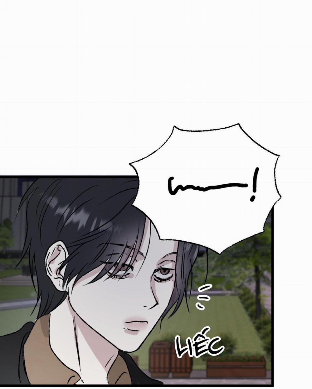 Phản Chiếu 4 trang 4