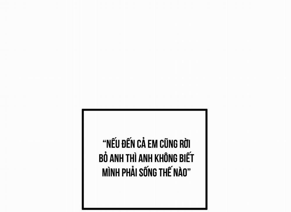 Phản Chiếu 4 trang 64