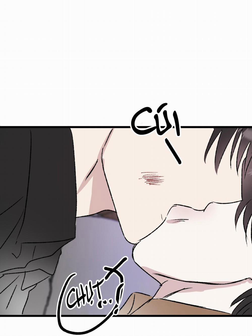 Phản Chiếu 4 trang 81