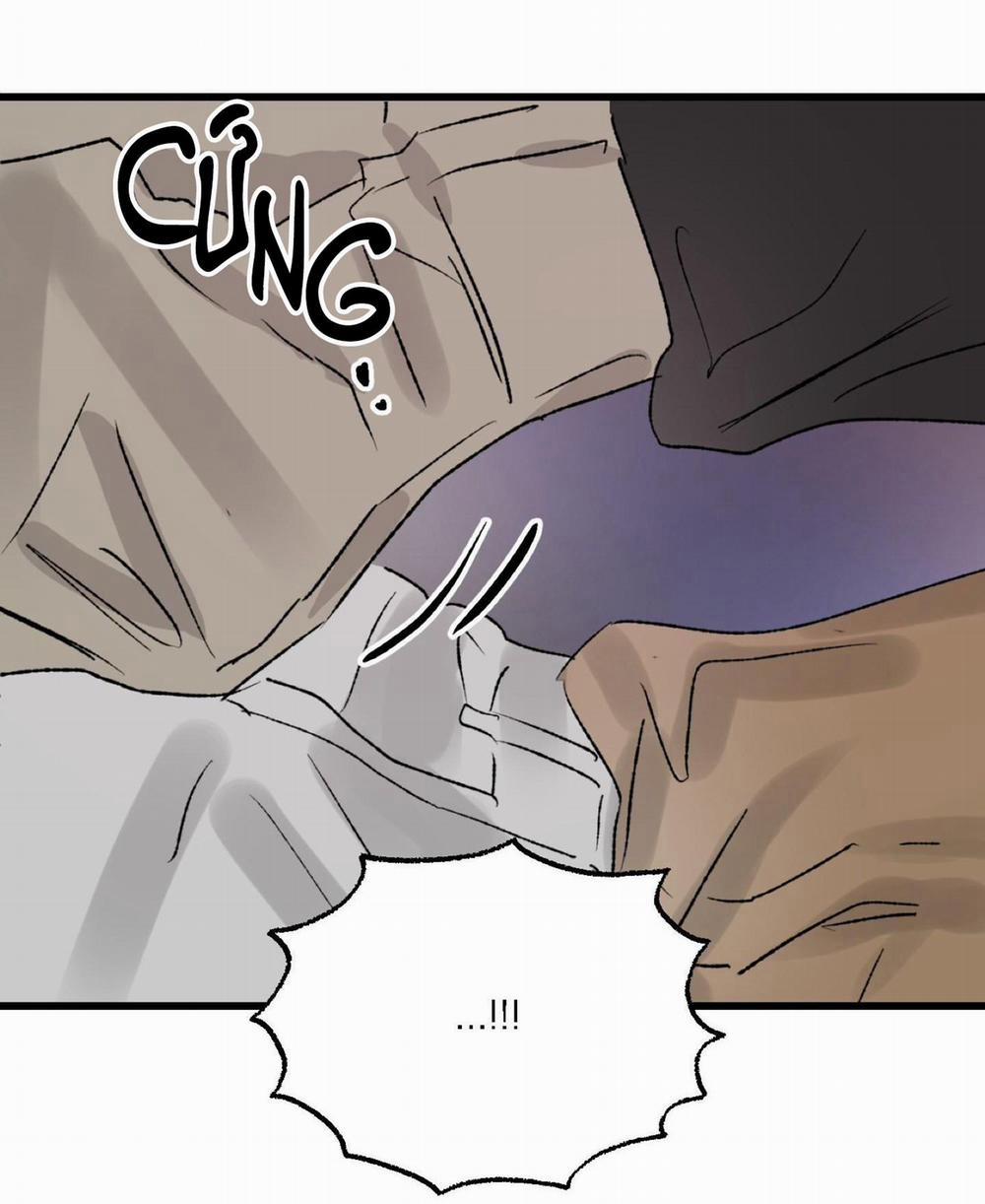 Phản Chiếu 4 trang 84