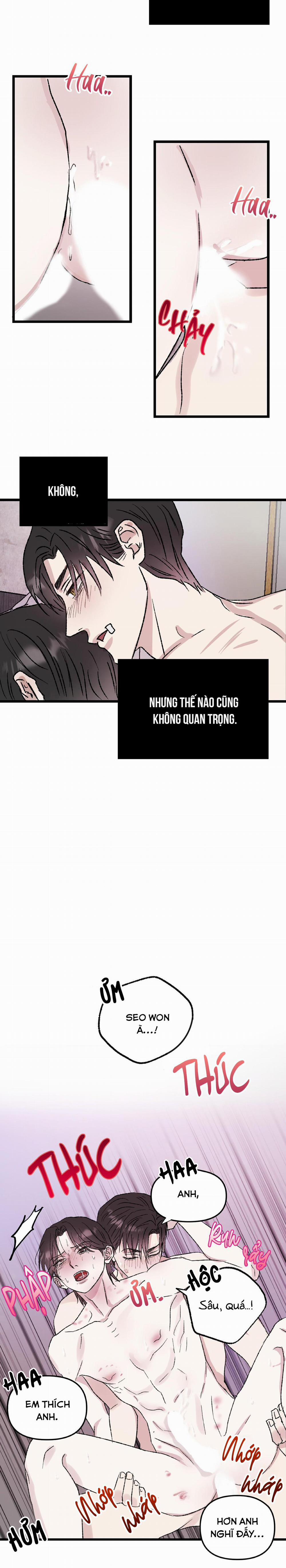 Phản Chiếu 5 trang 13