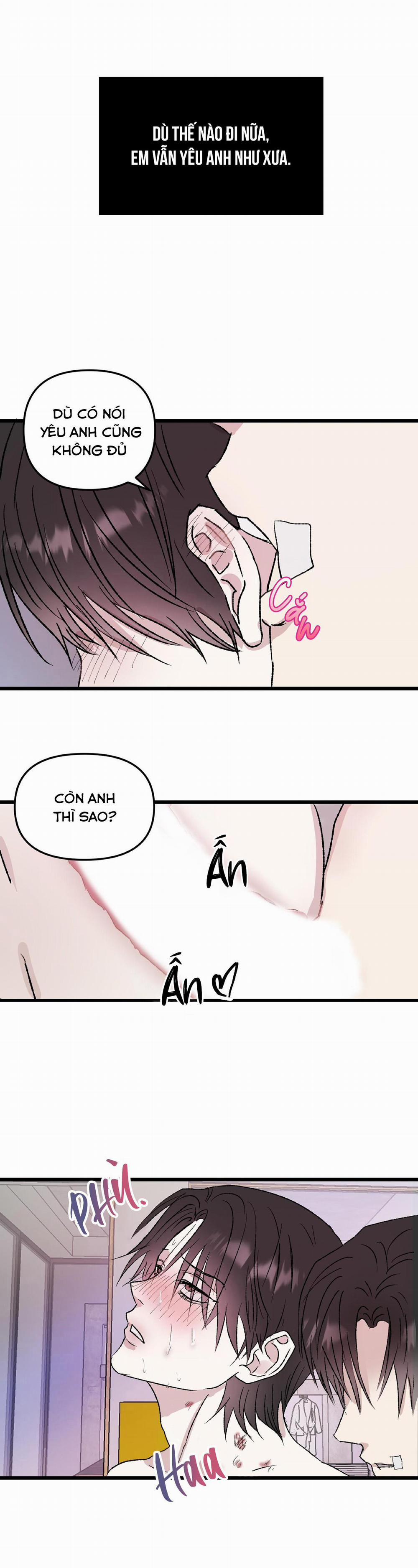 Phản Chiếu 5 trang 14