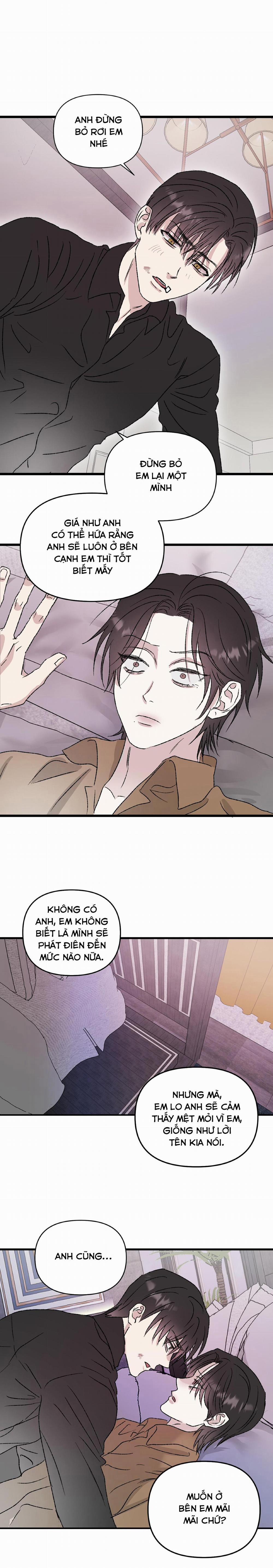 Phản Chiếu 5 trang 4