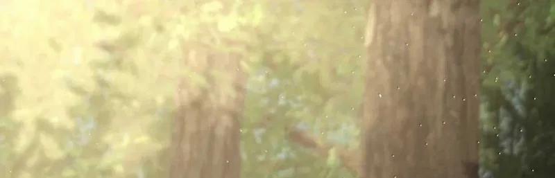 Phệ Chủ 23 trang 12