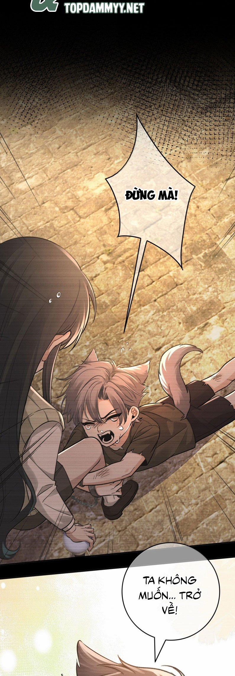 Phệ Chủ 27 trang 24