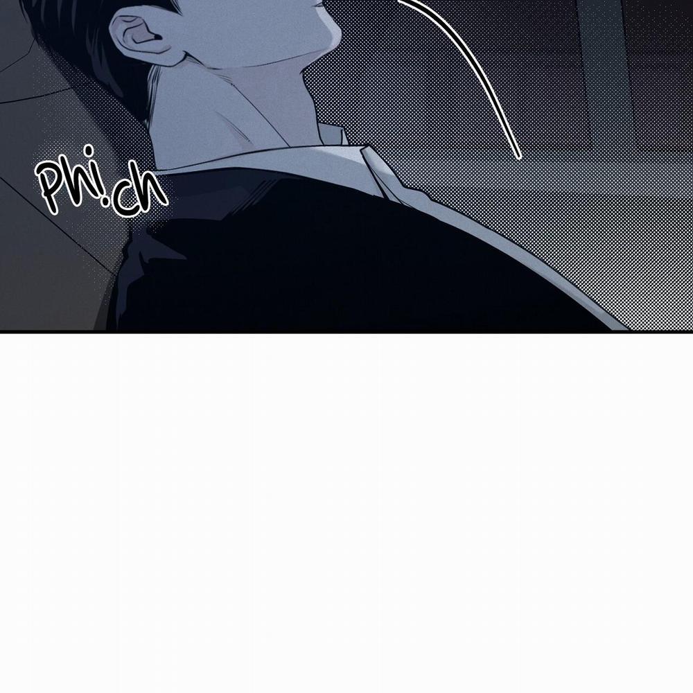 Phép Chiếu 11 trang 51