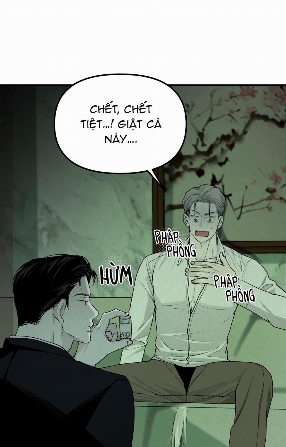 Phép Chiếu 11 trang 6