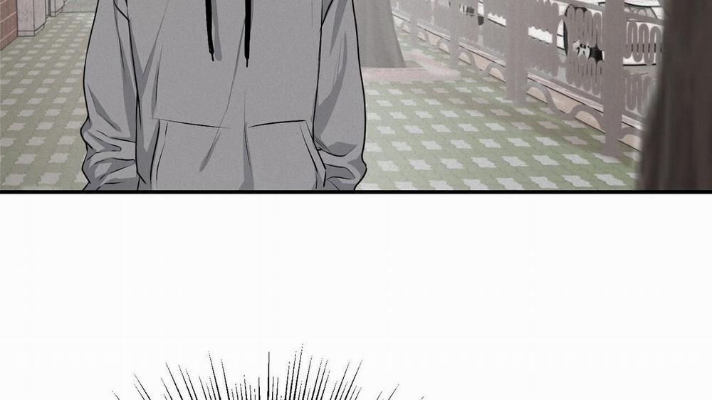 Phép Chiếu 11 trang 86