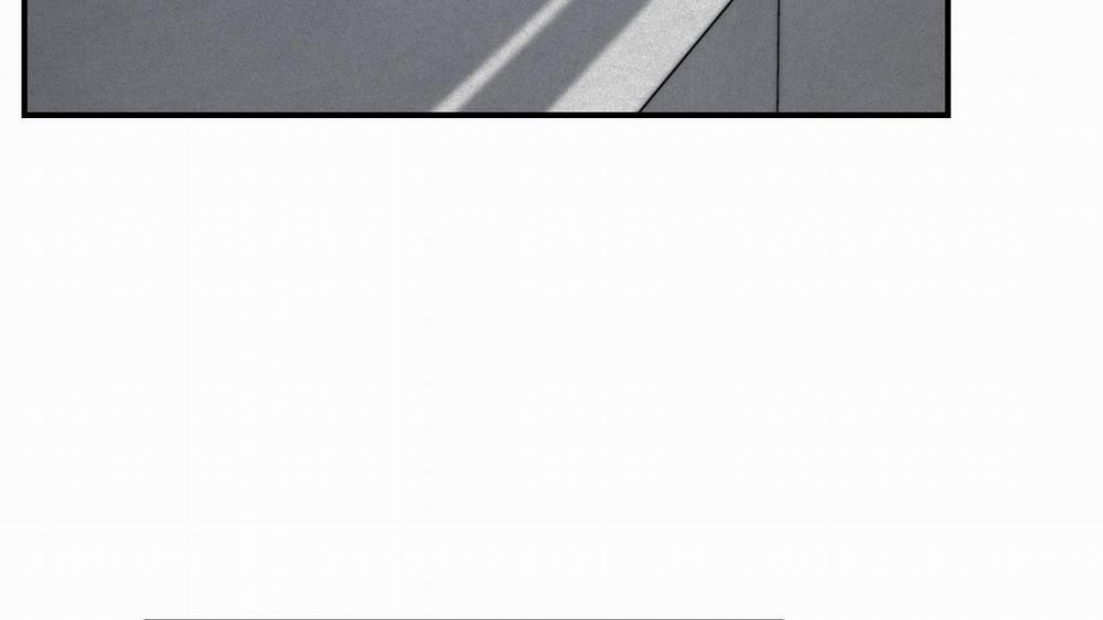 Phép Chiếu 11 trang 98