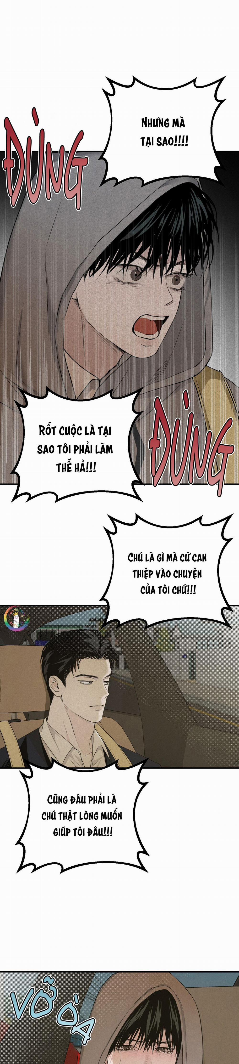 Phép Chiếu 12 trang 17