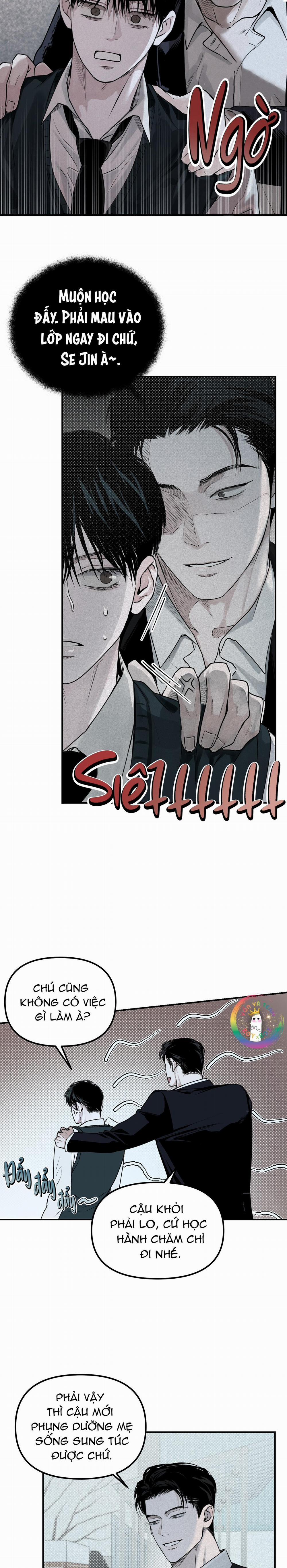 Phép Chiếu 15 trang 11