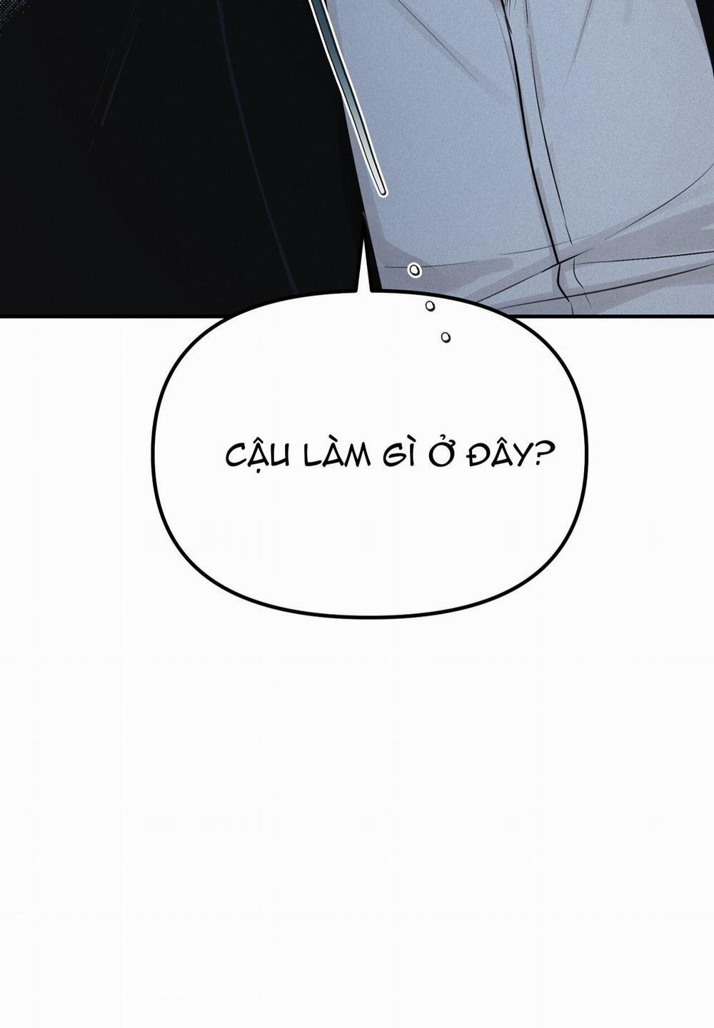 Phép Chiếu 15 trang 23