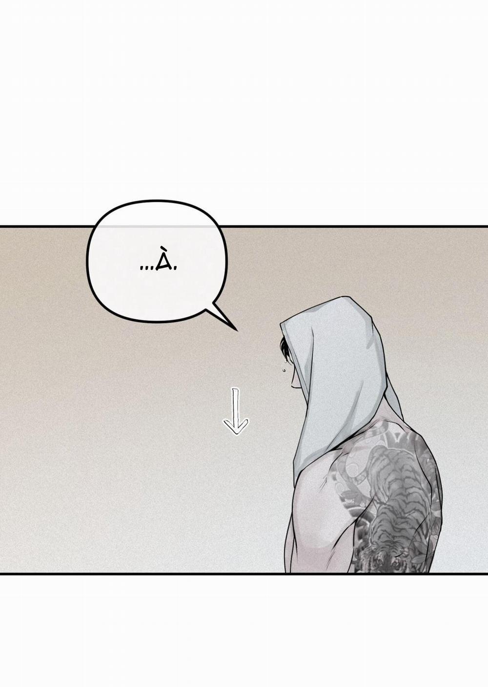 Phép Chiếu 18 trang 23