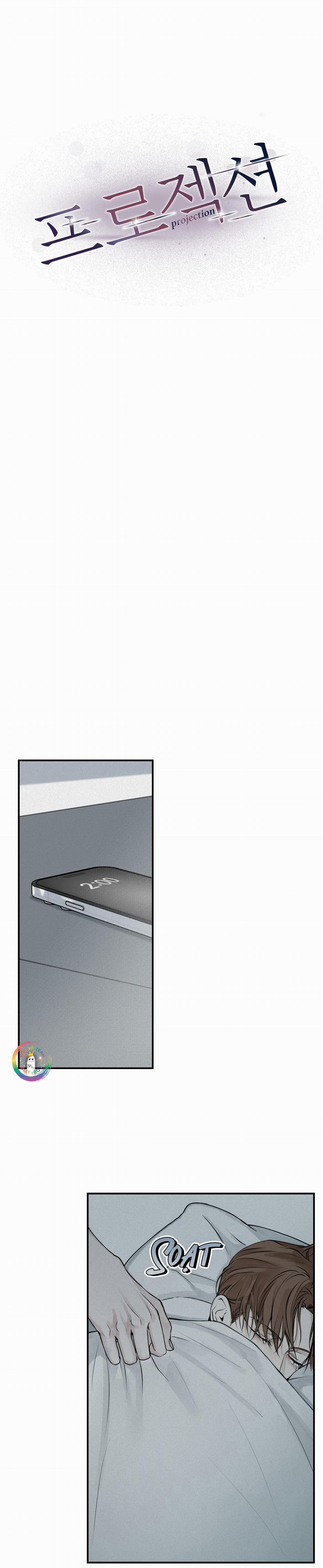 Phép Chiếu 19 trang 8