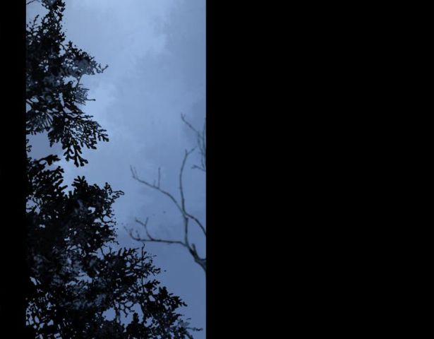 Phép Tắc Trường Ogus (Phần 2) 26 trang 62