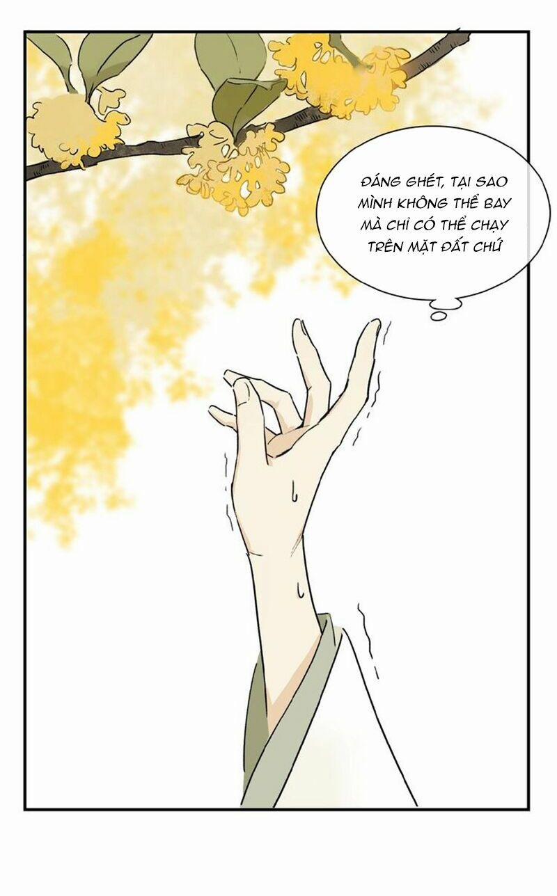 Phép Tắc Trường Ogus 27.5 trang 19