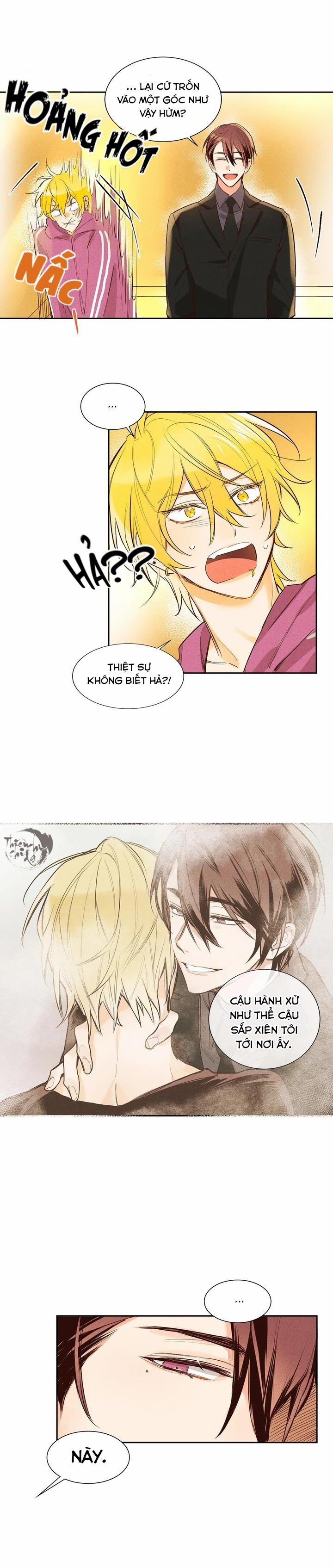 Pheromone Shower (Chim Nhại) 2 trang 4