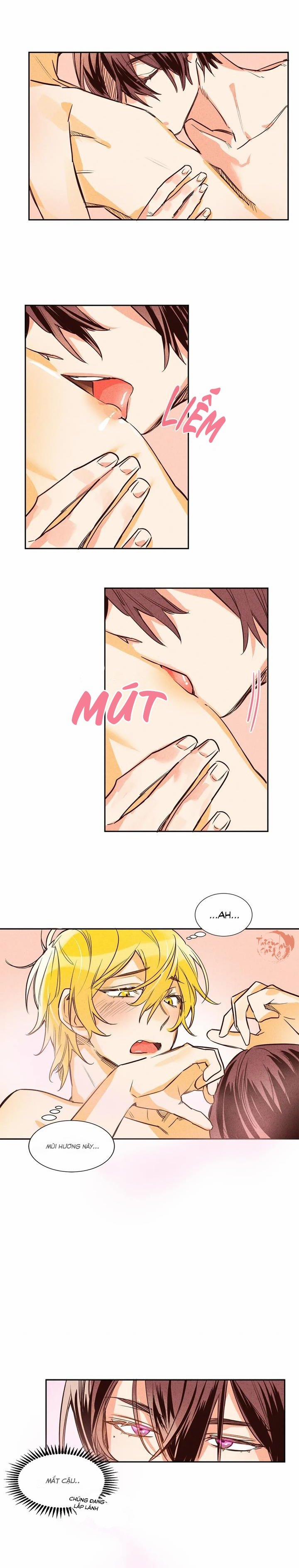 Pheromone Shower (Chim Nhại) 8 trang 9