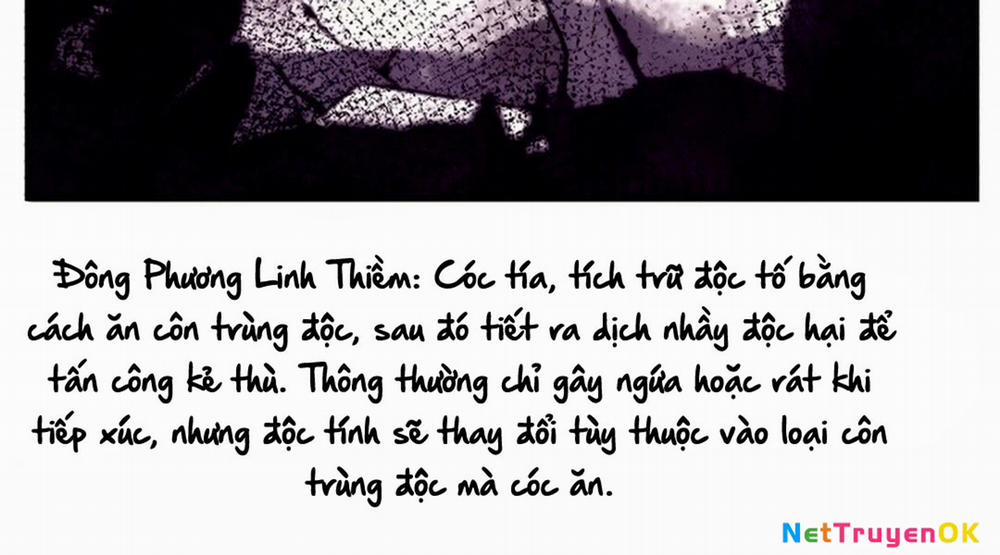 Phi Lôi Đạo 190 trang 66