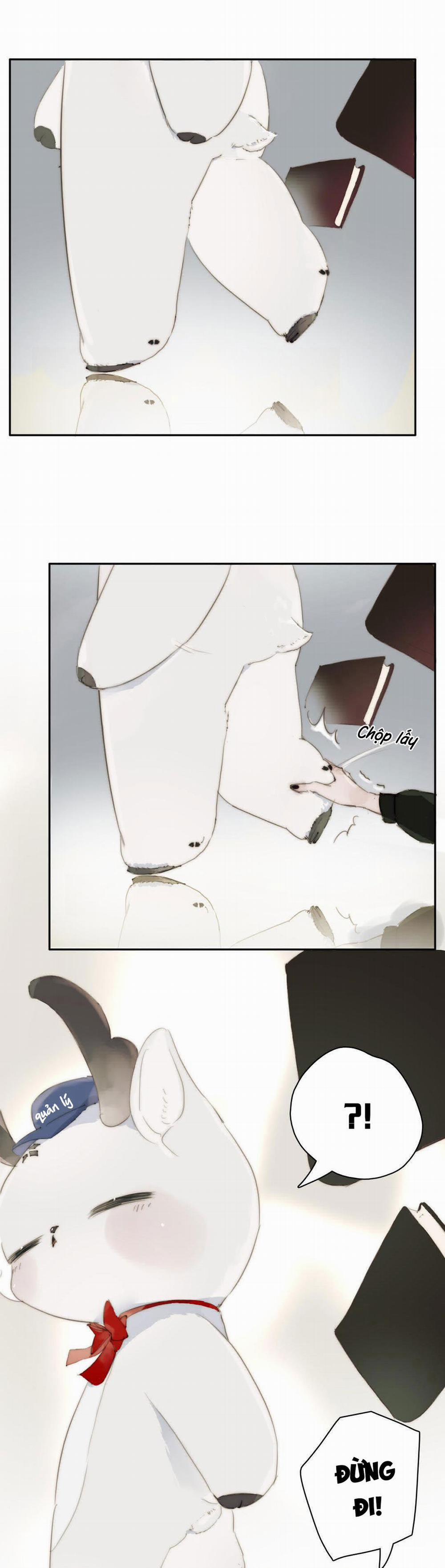 Phía Sau Cuốn Sách 15 trang 13