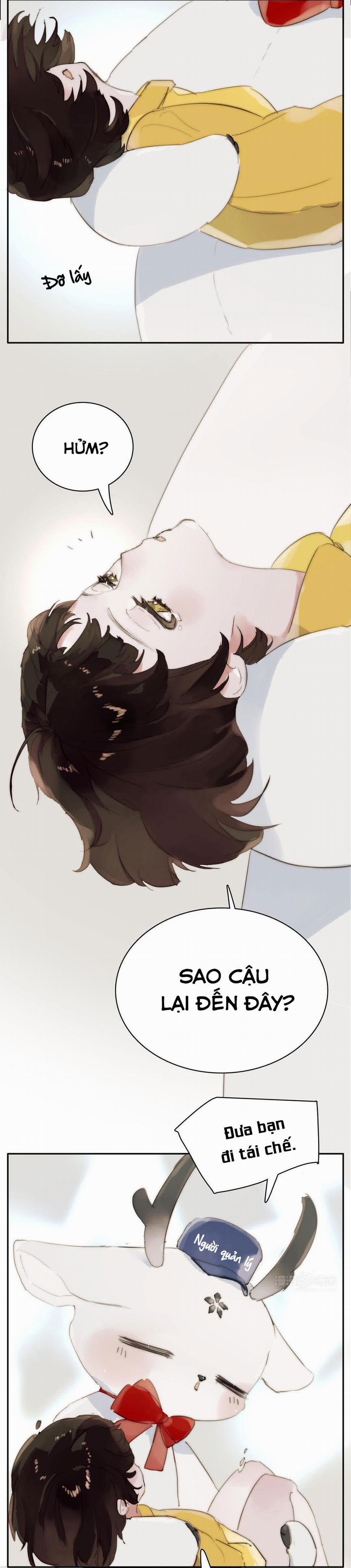 Phía Sau Cuốn Sách 15 trang 5